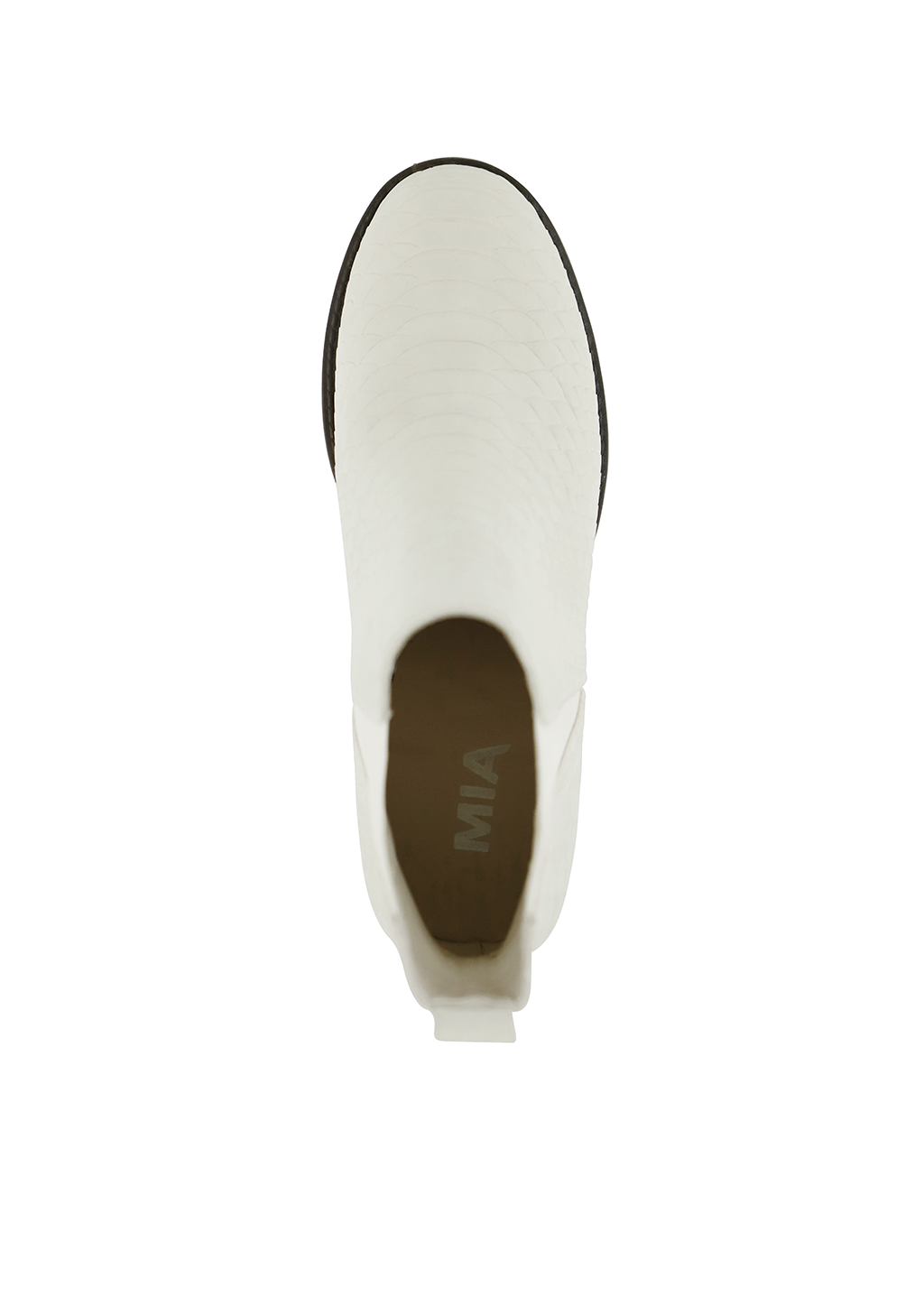 JODY Ivory Python - Buy Online