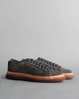 Stylish Biella Sneaker for Sale